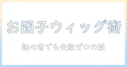 初心者向けガイド:ウィッグのお団子の付け方を徹底解説