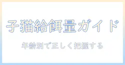 子猫のキャットフードは何グラム?年齢別の給餌量ガイド