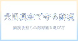 ドッグフードの鮮度を守る真空保存容器のおすすめと選び方