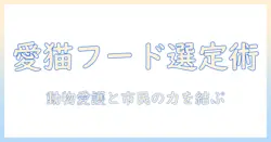 キャットフードの選び方と議員が語る動物愛護政策の最新動向