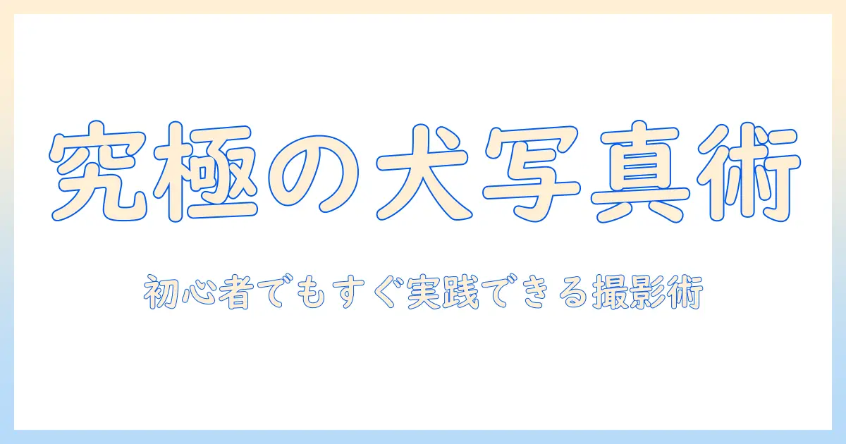 犬の写真を上手く撮る方法を徹底解説｜初心者でも実践できるテクニックと機材選び