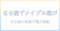 名古屋でメイプルのウィッグを選ぶときのポイント