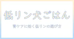 ドッグフードとリンが少ない選び方:腎臓ケアのための低リン食品のポイントとおすすめブランド