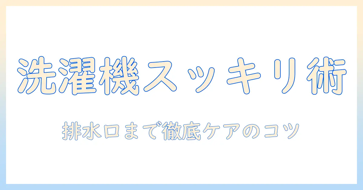 洗濯機と排水口の掃除方法と漂白剤の使い方を徹底解説