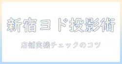 新宿のヨドバシカメラでプロジェクターを選ぶときのポイント