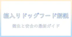 ダンボール入りのドッグフードとは?選び方と保存のコツを解説