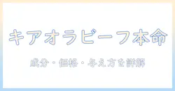 キアオラのキャットフードはビーフ味が本命？成分・価格・与え方を徹底解説