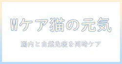 ビューティープロのキャットフードでwケアと腸内・自然免疫ケアを実現する方法｜猫の健康を守る新基準