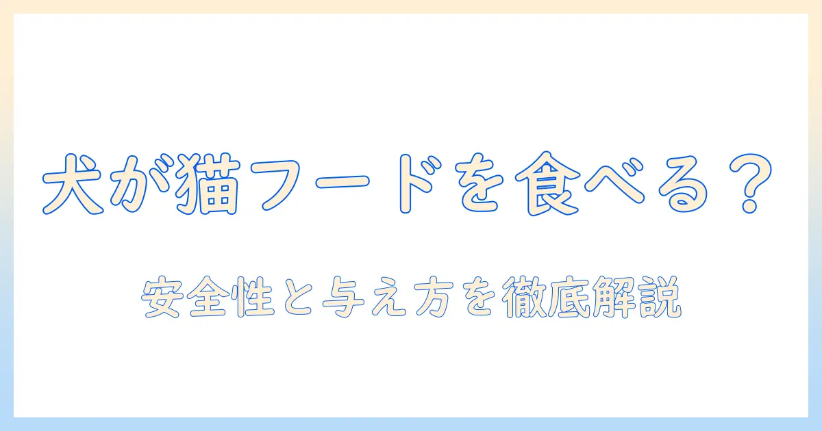 キャットフードは犬が食べるのか？猫用フードの安全性と与え方のポイント