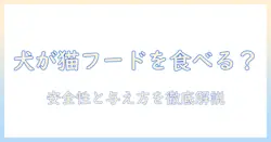キャットフードは犬が食べるのか？猫用フードの安全性と与え方のポイント
