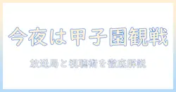 高校野球を今日テレビで観るには?放送チャンネルと視聴スケジュールを徹底解説
