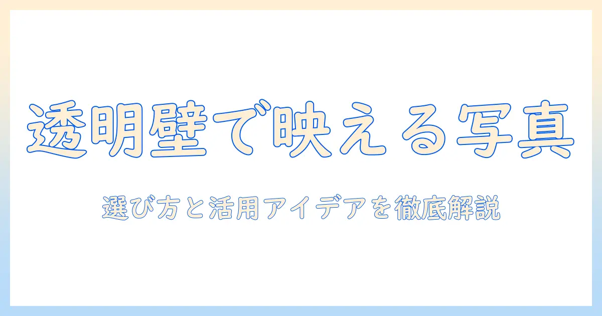 ウォールポケット 透明 写真で部屋を彩る!選び方と活用アイデア