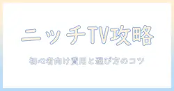 テレビのニッチ市場と費用を読み解く：初心者にも分かる選び方と費用の抑え方