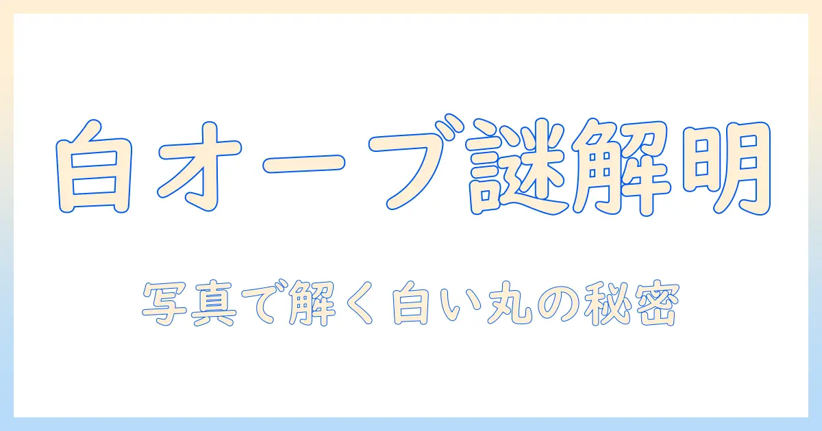 写真で解く 白い 丸 オーブの謎と撮影テクニック