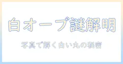 写真で解く 白い 丸 オーブの謎と撮影テクニック