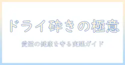 キャットフードをドライのまま砕く方法と注意点|愛猫の健康を守る実践ガイド