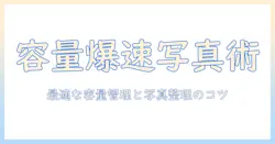 iphoneの写真1枚の容量を確認する方法｜容量管理のコツと写真整理のポイント