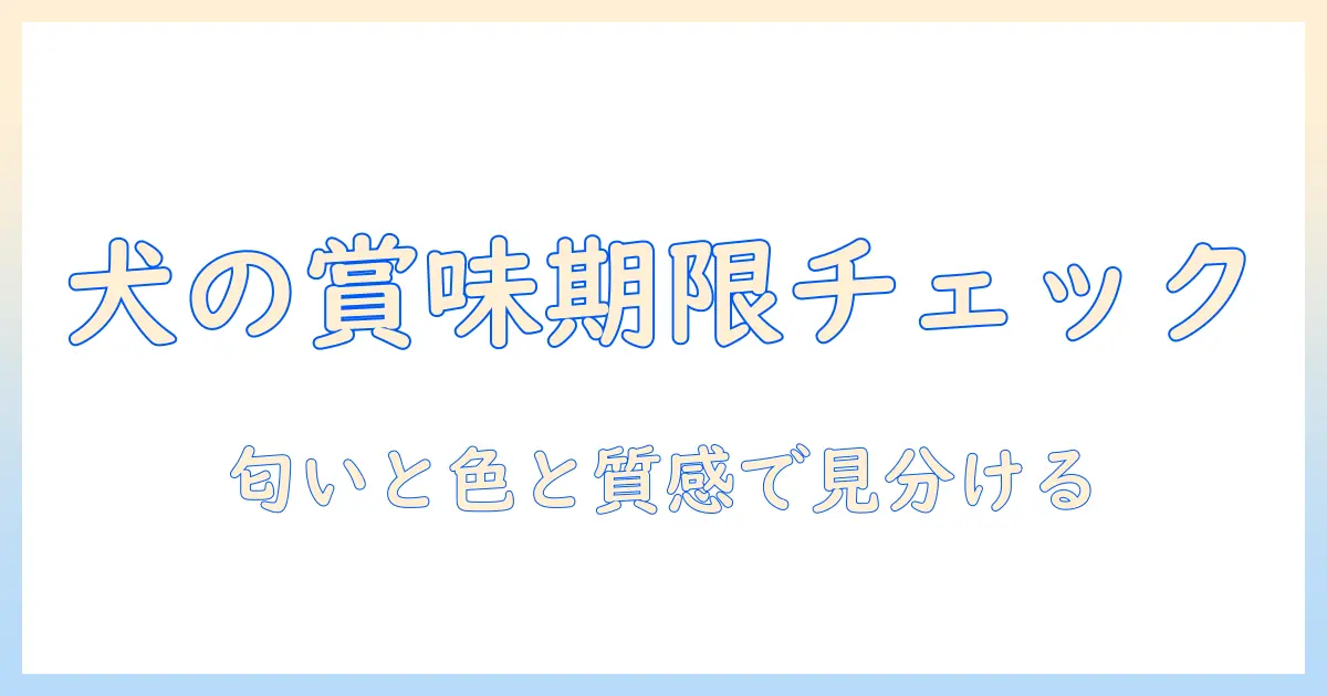 ドッグフードの賞味期限間近を徹底チェック!正しい見極め方と安全な与え方・保存方法