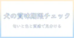 ドッグフードの賞味期限間近を徹底チェック！正しい見極め方と安全な与え方・保存方法