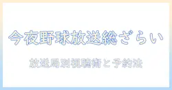 今日 の プロ 野球 テレビ 放送 予定を徹底解説—今夜の視聴リストと放送局をチェック