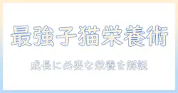 キャットフードの選び方:子猫に最適な栄養とポイント