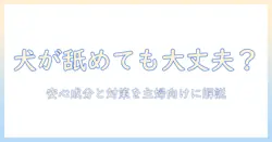 ハンドクリームを犬が舐めるとどうなる?安全な成分と対策を主婦向けに解説