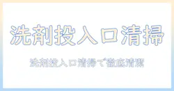 洗濯機の洗剤投入口とホースを徹底掃除する手順とコツ