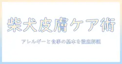 柴犬の皮膚とアレルギーをケアするためのドッグフード選びガイド