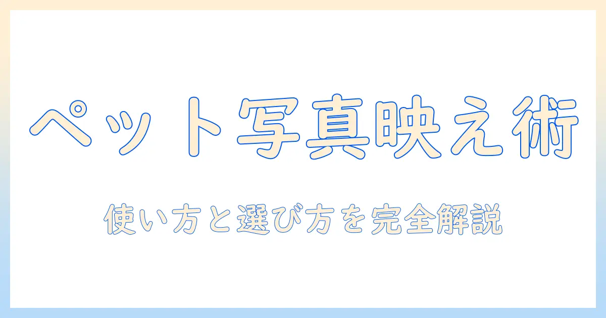 ペット の 写真 グッズ ポーチで差をつける!写真映えする使い方と選び方ガイド