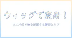 ウィッグで変身!ユニバの乗り物を楽しむための髪型とケア方法
