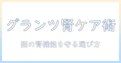 グランツのキャットフードと腎臓ケアの基礎知識:猫の腎臓を守る選び方ガイド