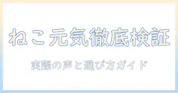 キャットフード『ねこ元気』の評判を徹底検証｜実際の口コミと選び方ガイド