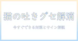 猫がキャットフードをすぐ吐く原因と対策｜今すぐできるチェックリスト付き