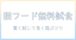 キャットフードの無料サンプルとプレゼント情報を徹底解説—無料・サンプル・プレゼントを活用して賢く試す方法