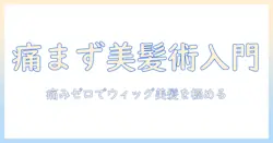初心者向けコスプレウィッグブラッシング完全ガイド:痛まず美しく保つケアとコツ