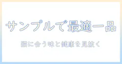 キャットフードのサンプルセットで猫に合う最適な一品を見つける方法