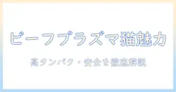 ビーフプラズマ入りキャットフードの魅力と安全性を解説—選び方のポイント