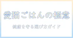 猫のご飯とキャットフードの選び方:愛猫の健康を守るためのポイント