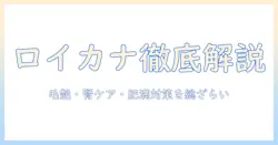 キャットフードの評価を徹底解説|ロイヤルカナンの特徴と選び方