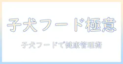 子犬のためのドッグフード選び:プロフェッショナルバランスを活用して健康管理を始める方法