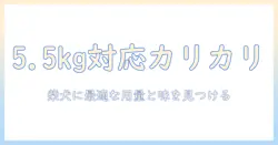 ベストなバランスのドッグフードを柴犬用に選ぶカリカリ仕立てガイド—5.5 kg(5.5キログラム)対応で柴犬に最適な用量と味を見つける