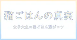 キャットフードは良くないのか？女性の大学生が知っておきたいポイントと選び方