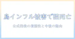 キャットフードで鳥インフル感染、飼い猫死ぬ—米メーカーが自主回収を発表、飼い主が知るべき最新情報
