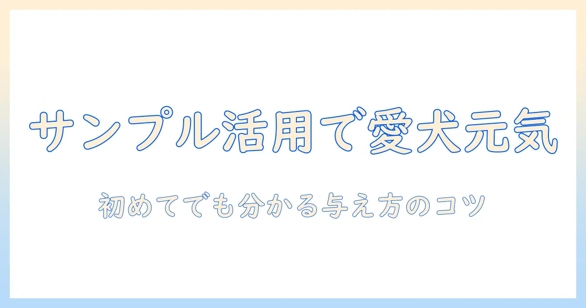 ドッグフードのサンプル活用術と与え方のポイント|初心者向けガイド