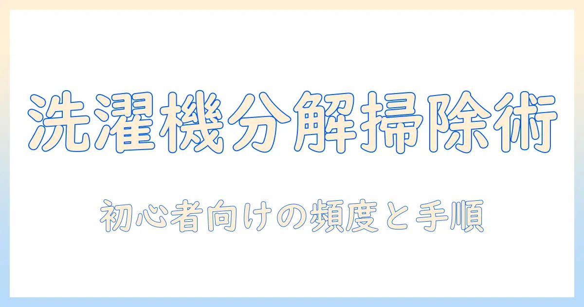 洗濯機の分解掃除は頻度が重要！初心者向けに分かりやすい適切な頻度と手順を解説