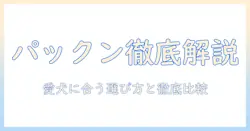 ドッグフードとパックンを徹底解説｜愛犬に合う選び方と比較ガイド