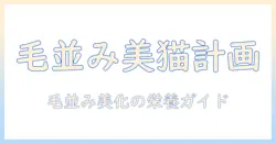 猫の毛並みを美しくするキャットフードとビューティープロの選び方
