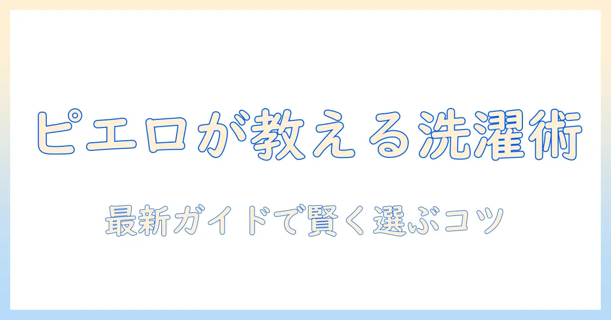 コインランドリーで使う洗濯機の選び方と使い方をピエロが解説する最新ガイド