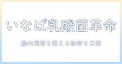 キャットフードの新提案:いなばの乳酸菌がすごい理由と選び方