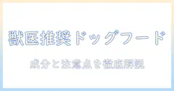 vetsが教える ドッグフード選びのコツ—獣医が推す成分と注意点